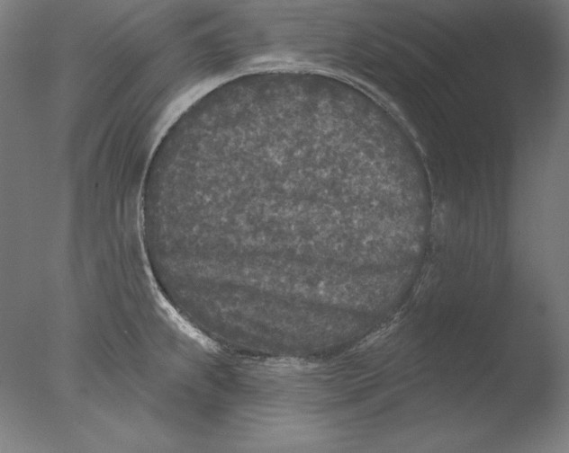 X0000076301239200610201535