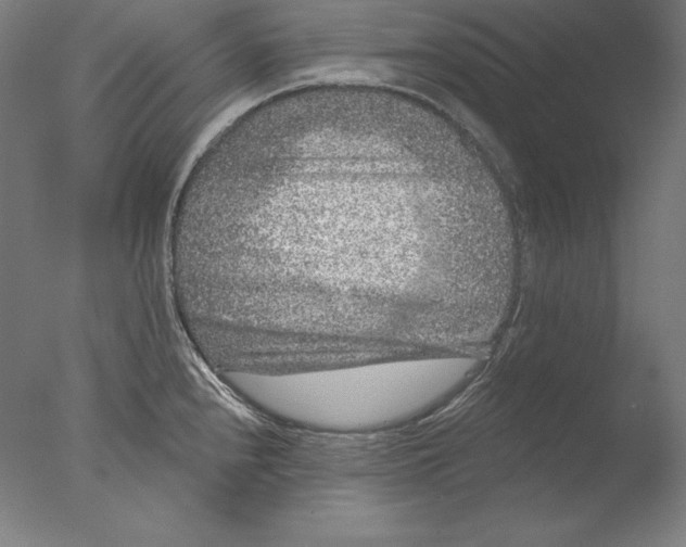 X0000076301240200610201535