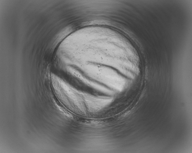 X0000076301241200610201535