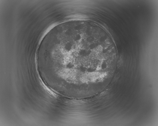 X0000076301243200610201535