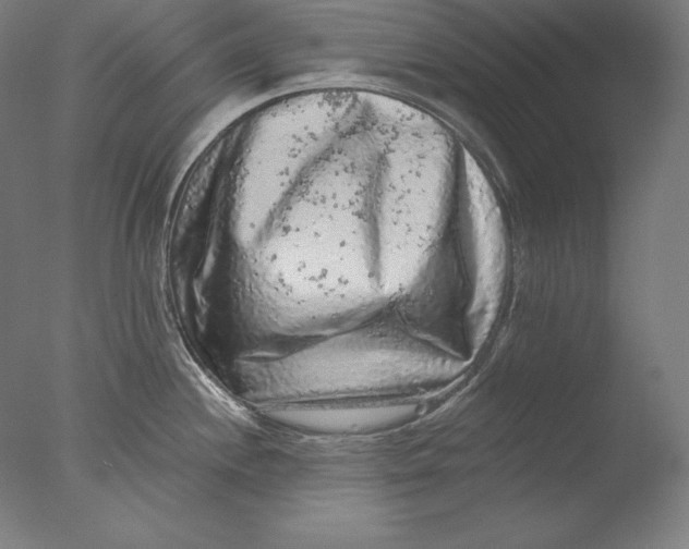 X0000076301244200610201535