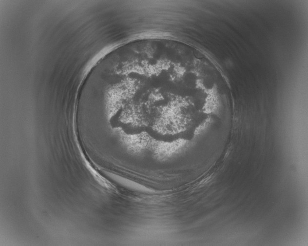 X0000076301245200610201536