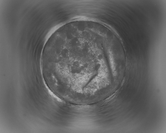 X0000076301247200610201536