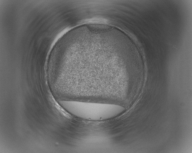 X0000076301248200610201536