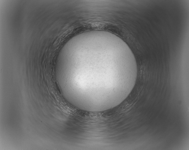 X0000076301249200610201535