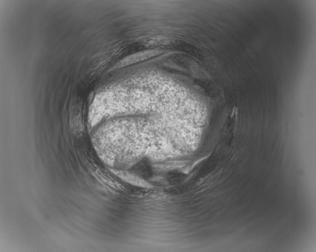 X0000076301250200610201535