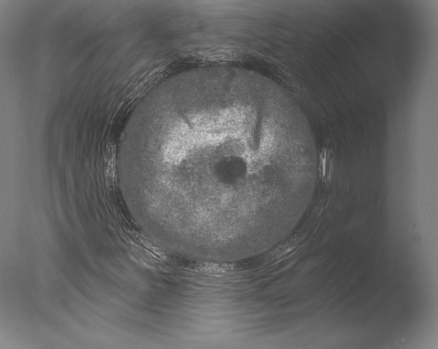 X0000076301251200610201535