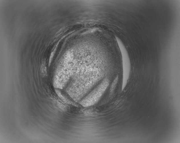 X0000076301252200610201535