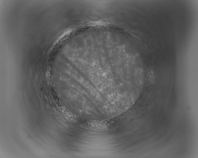 X0000076301254200610201535