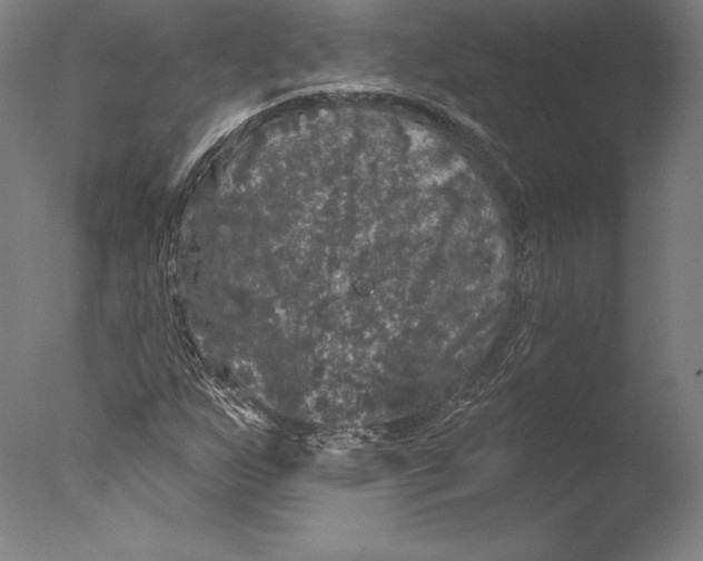 X0000076301255200610201535