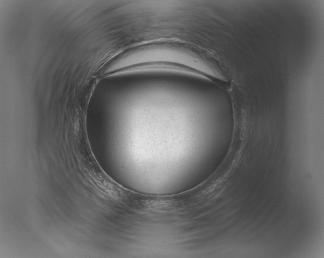 X0000076301257200610201535