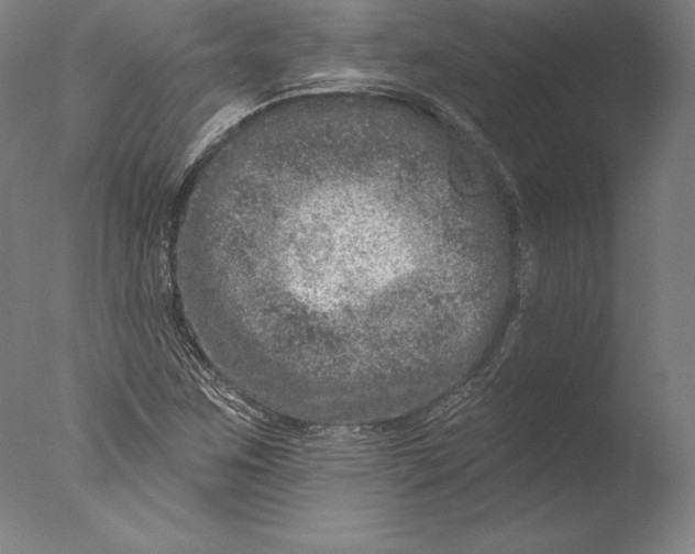 X0000076301259200610201535