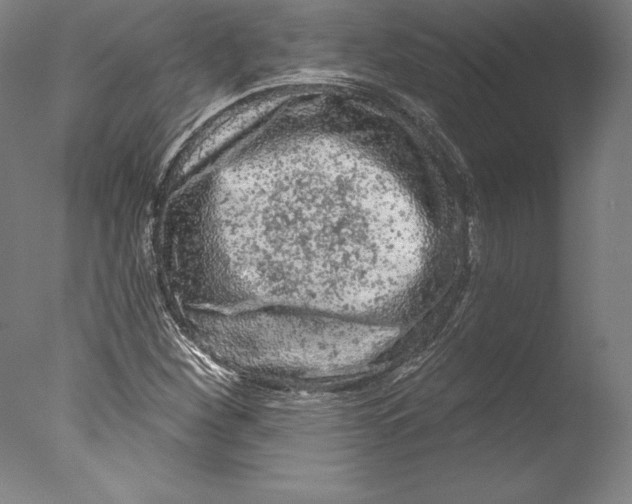 X0000076301260200610201535