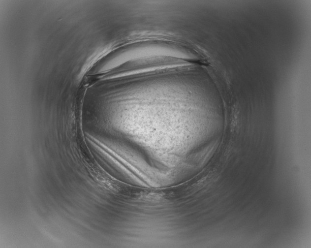 X0000076301261200610201535