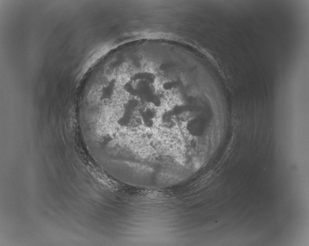 X0000076301263200610201535