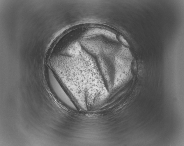 X0000076301264200610201534