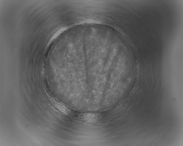 X0000076301266200610201534