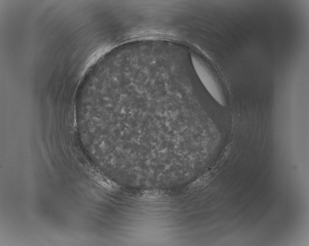 X0000076301267200610201534