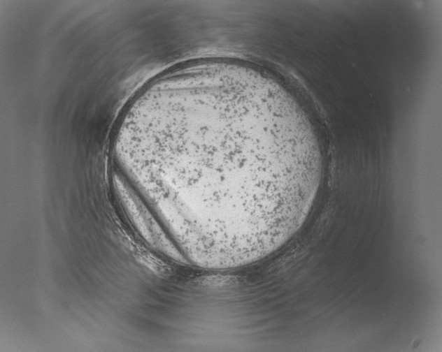 X0000076301268200610201534