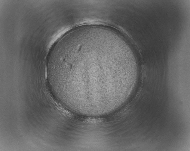 X0000076301269200610201534