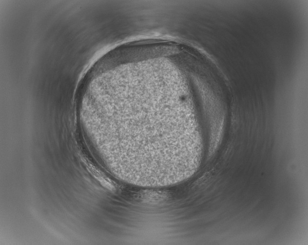 X0000076301270200610201534