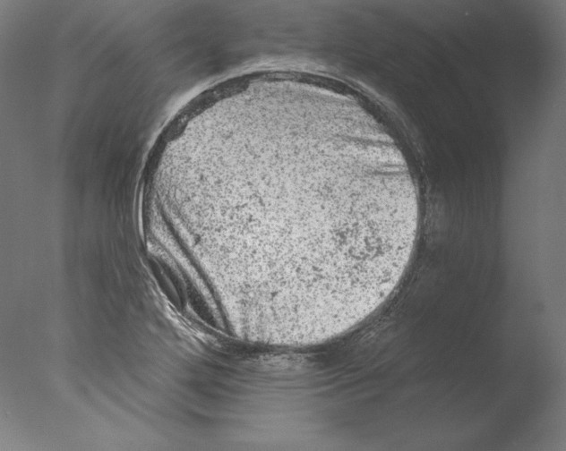 X0000076301272200610201534