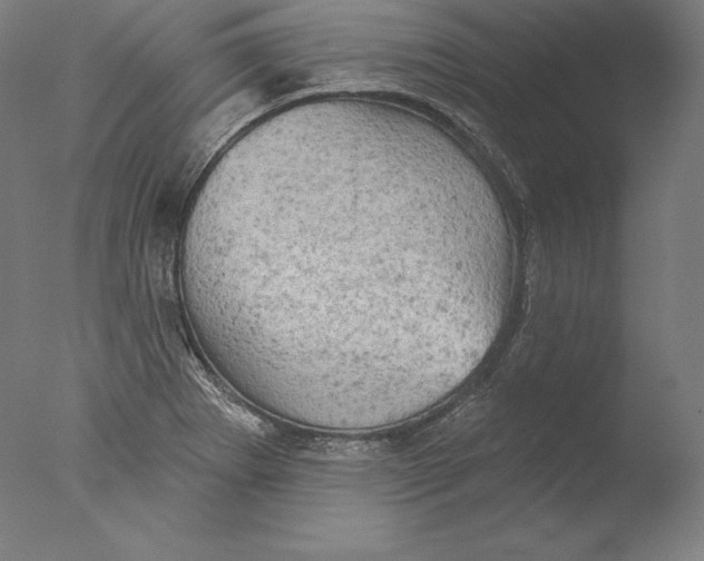 X0000076301273200610201534