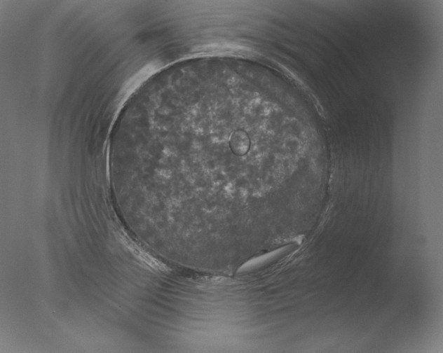 X0000076301275200610201534