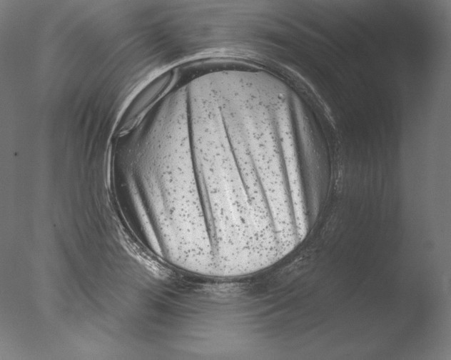 X0000076301276200610201534