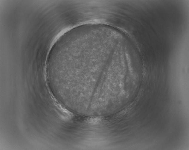 X0000076301278200610201534