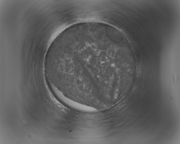 X0000076301279200610201534