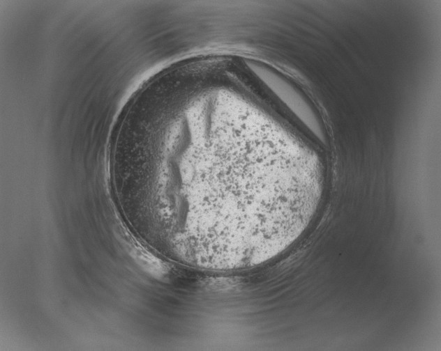 X0000076301280200610201534