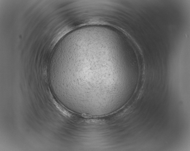 X0000076301281200610201534