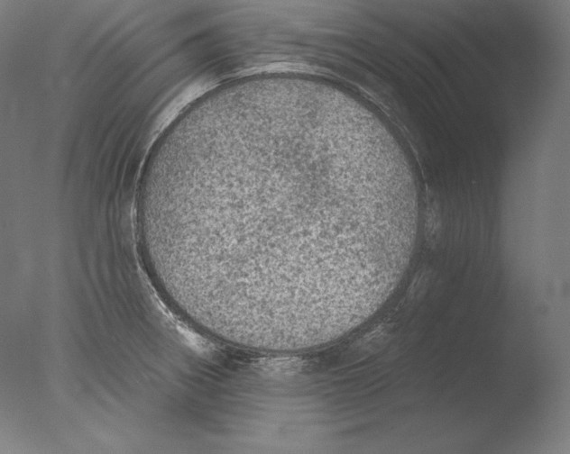 X0000076301282200610201534