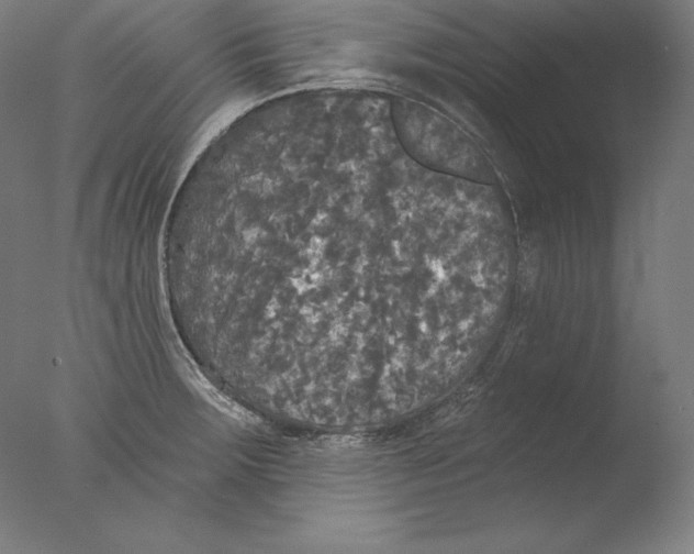 X0000076301283200610201534