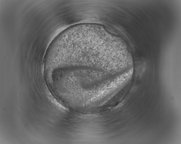 X0000076301284200610201534