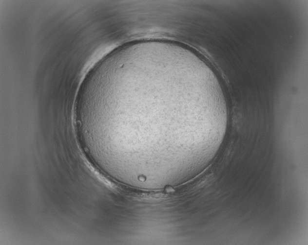 X0000076301285200610201534