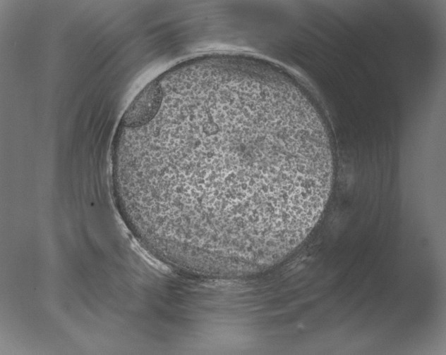 X0000076301287200610201534