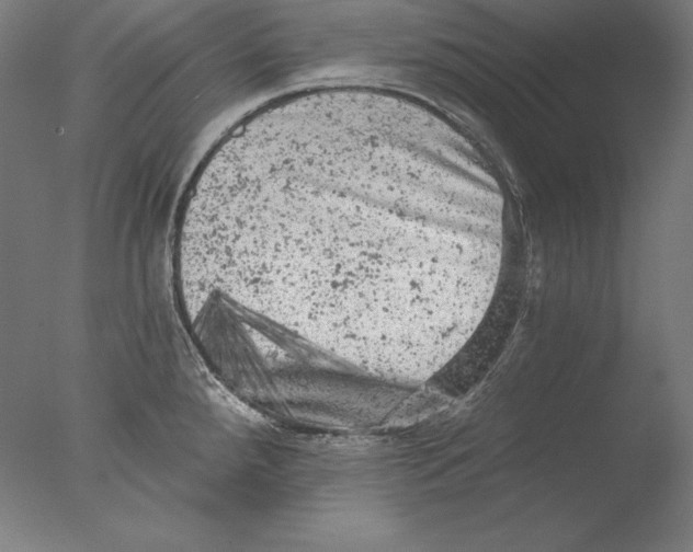 X0000076301288200610201534