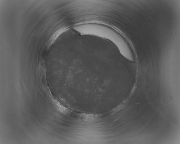 X0000076301289200610201534