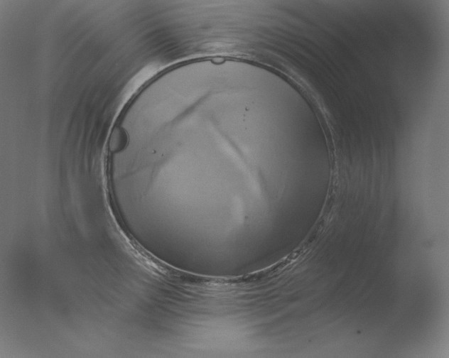 X0000076301291200610201534