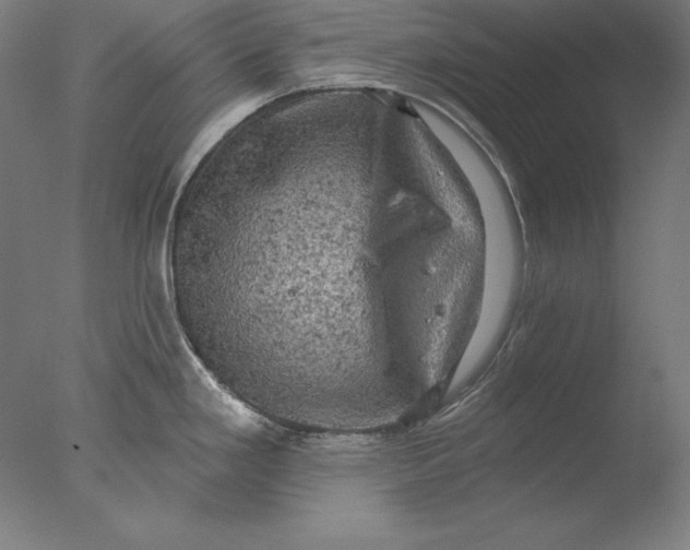 X0000076301293200610201534