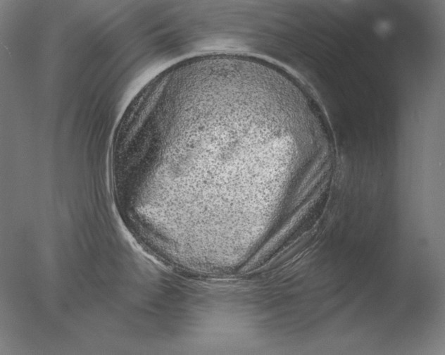 X0000076301295200610201534