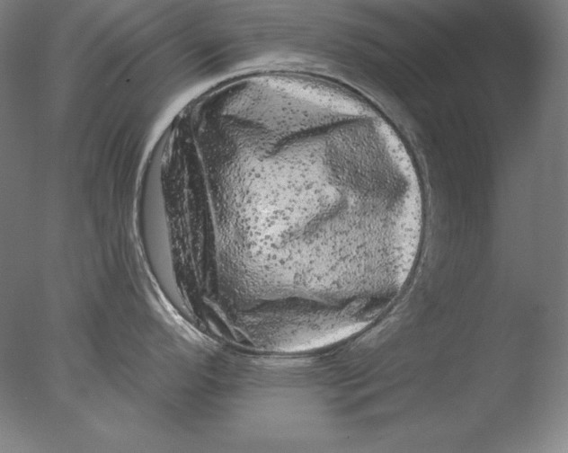 X0000076301296200610201534