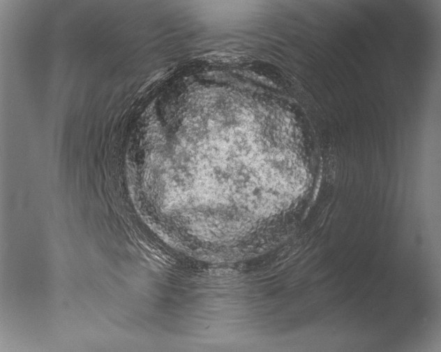 X0000076301297200610201533