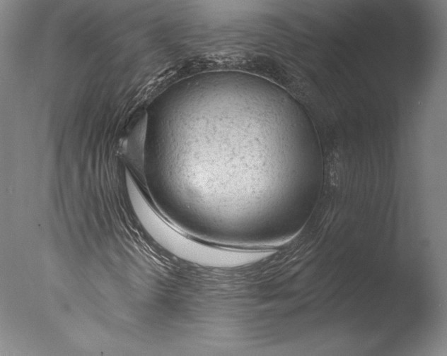 X0000076301298200610201533