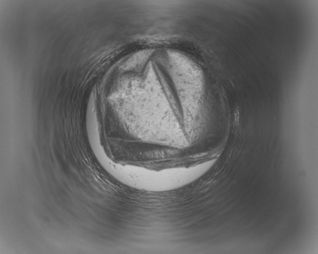 X0000076301300200610201533