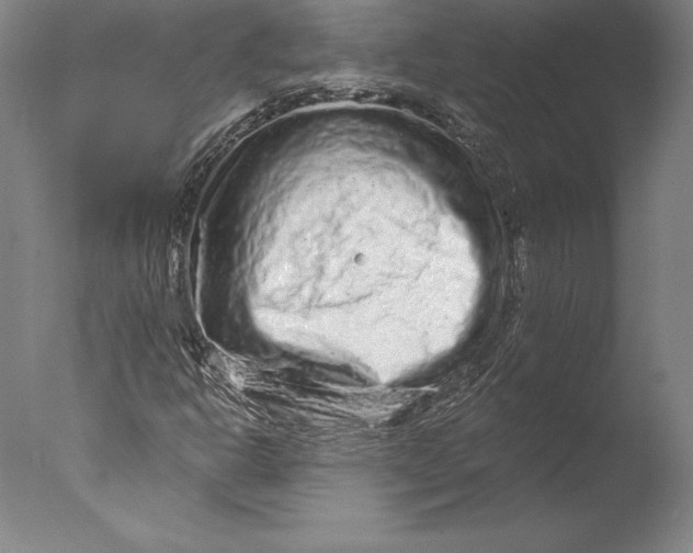 X0000076301302200610201533