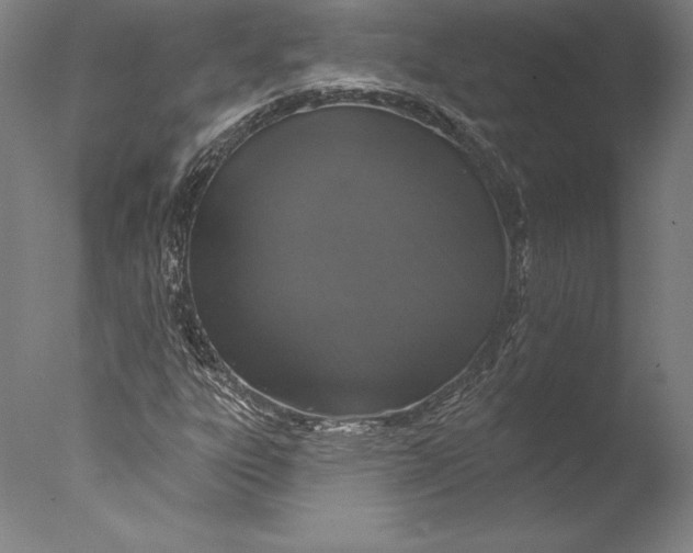 X0000076301303200610201533