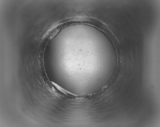 X0000076301304200610201533